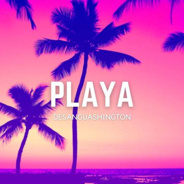 Cover art for Playa